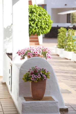 Beverly Hills Suites - Excel Hotels & Resorts