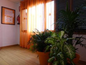 Andrea's Hotel Tenerife